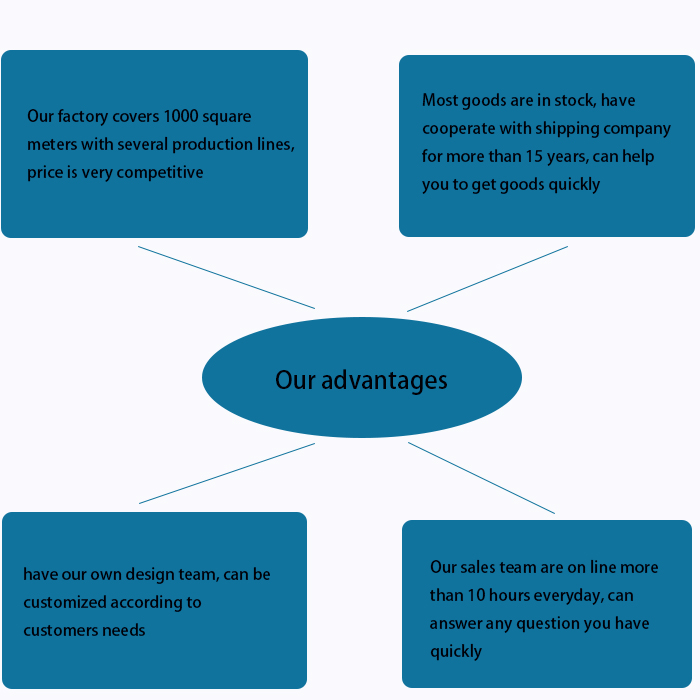 Our advantages